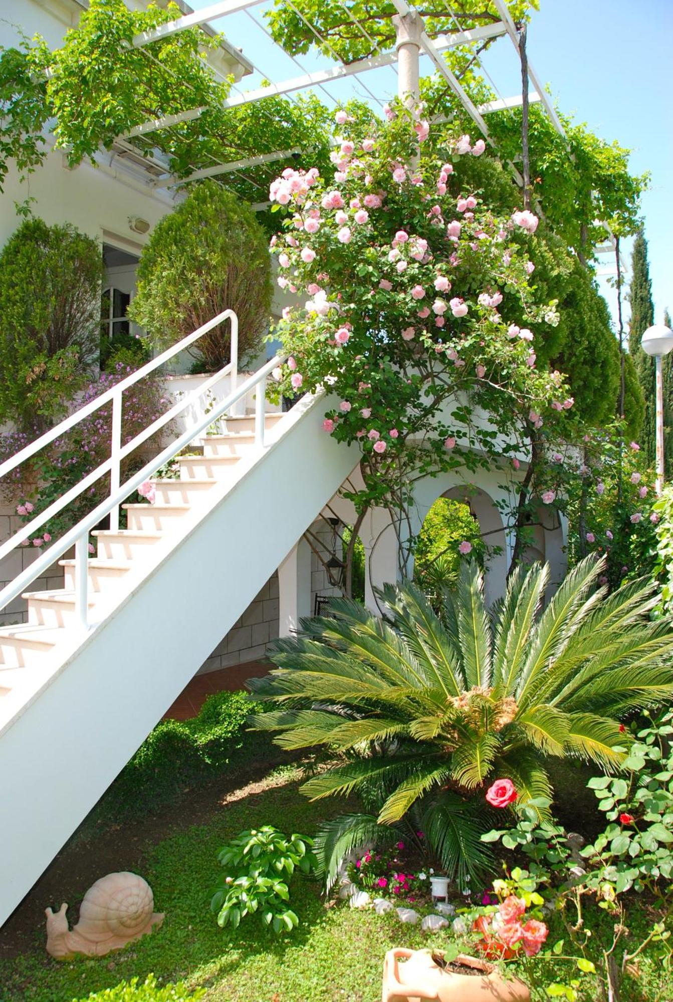 Villa Mediterranea Mlini Exterior foto